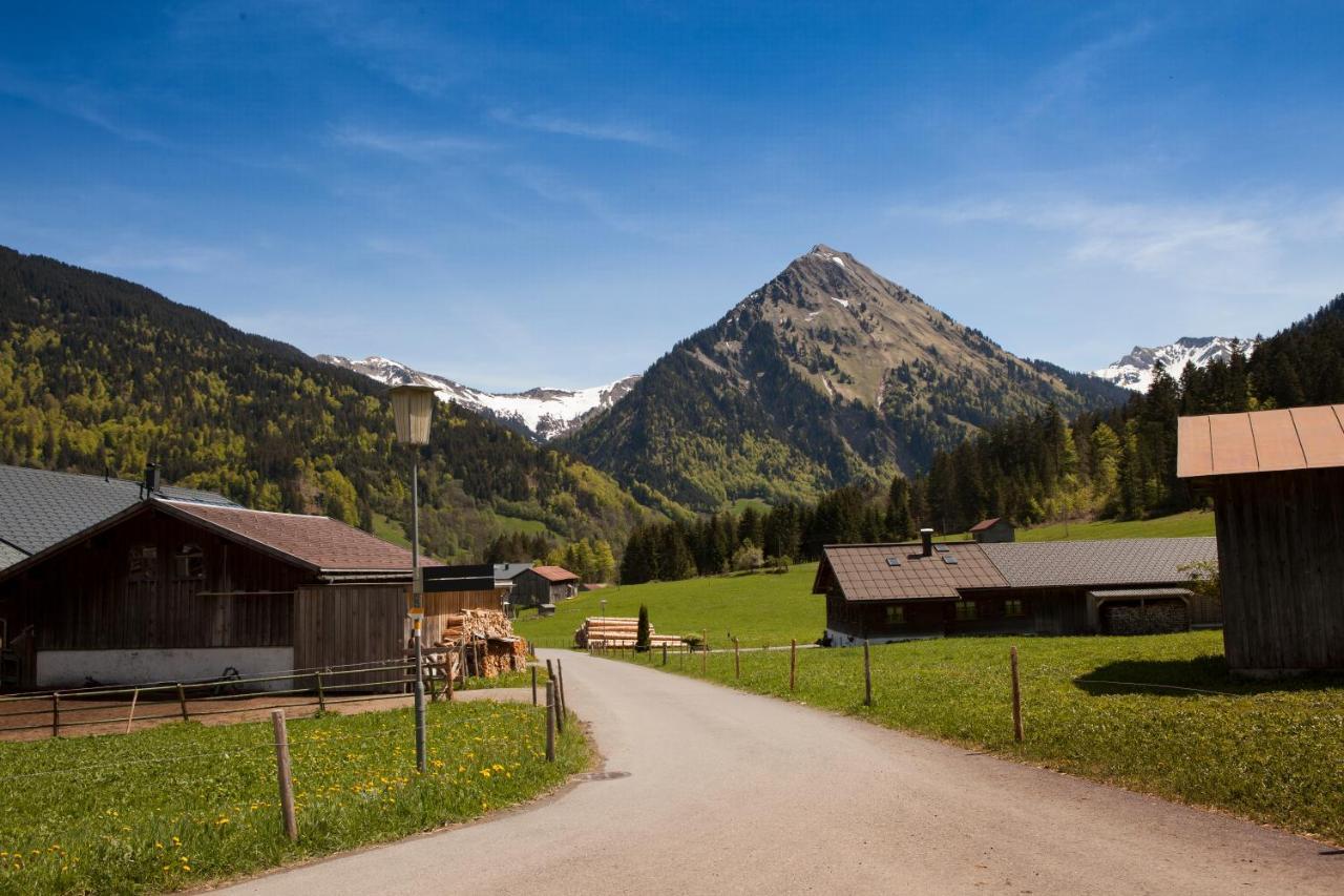 Ferienbauernhof Kohler Apartamento Schoppernau Exterior foto